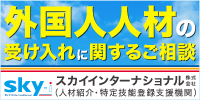 スカイインターナショナル株式会社