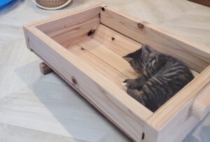 猫ベッド